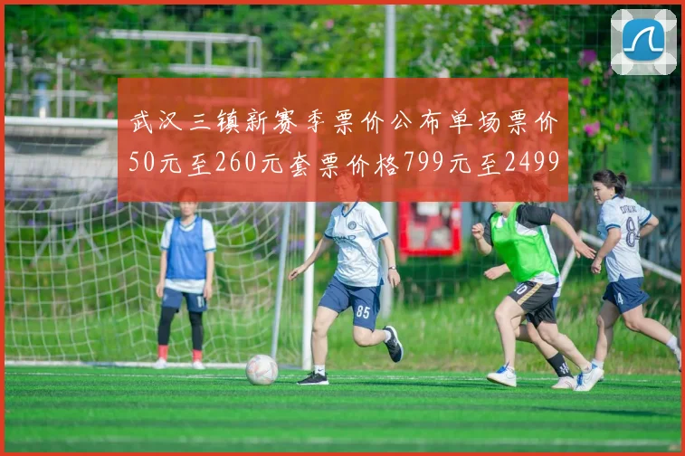 武汉三镇新赛季票价公布单场票价50元至260元套票价格799元至2499元