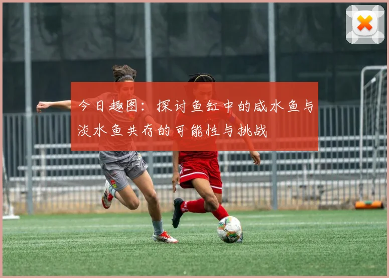 今日趣图：探讨鱼缸中的咸水鱼与淡水鱼共存的可能性与挑战